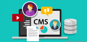 سیستم مدیریت محتوا (CMS) | بهترین سیستم فروشگاهی