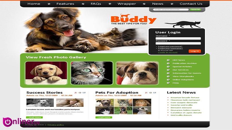 وب سایت حیوانات خانگی از ایده های طراحی سایت پرترافیک